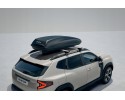 QuickFix roof crossbars mounted on DUSTER III fixed rails