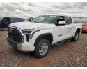 Botiquín de Primeros Auxilios Toyota Tundra 2022-