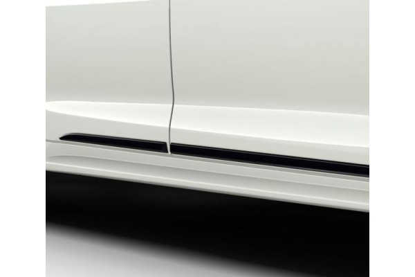 DECORATIVE DOOR TRIM E21 TS SEDAN BLACK 209 PW156 02006 CA TOYOTA OE