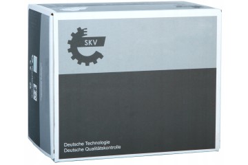 CATALYST SKV ESEN 62SKV019