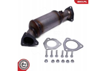 CATALYST SKV ESEN 62SKV019 Catalog number of the part 62SKV019