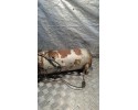 Calefactor estacionario WEBASTO DW300