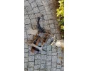 Rear bridge 22r without motor differential condition bdb ford edge lift USA 19 24r Catalog number of the part k2gw 4000 fr