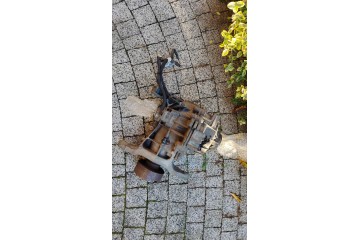 Rear bridge 22r without motor differential condition bdb ford edge lift USA 19 24r Catalog number of the part k2gw 4000 fr