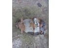 BRIDGE DIFFERENTIAL MERCEDES BENZ W211 3 2 PETROL 3 27 Catalog number of the part A2303511108