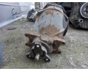 BRIDGE DIFFERENTIAL MERCEDES BENZ W211 3 2 PETROL 3 27 Part manufacturer Mercedes Benz OE