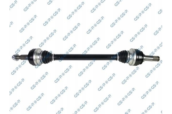 Rear drive axle L P GSP 201106OL