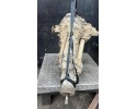 Automatic transmission Volkswagen Touareg III CR 2019 8 gears SBT