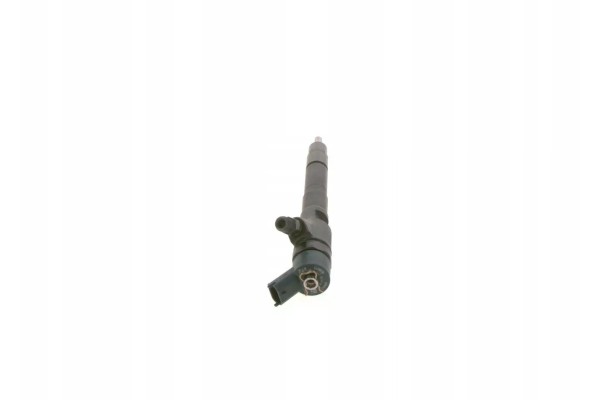 BOSCH 0 445 110 273 Injection nozzle Catalog number of the part 0 445 110 273