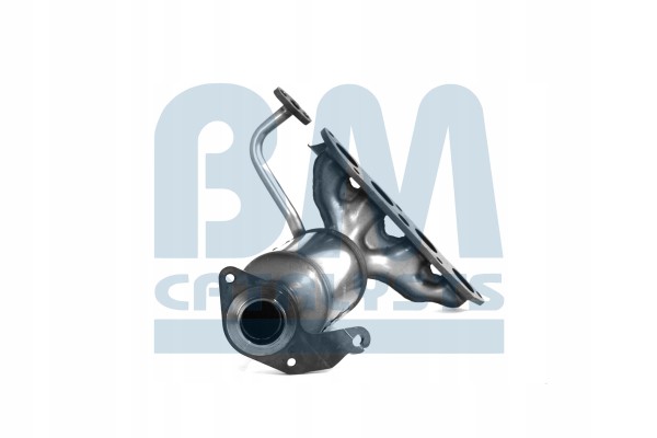 Catalyst BM CATALYSTS BM91976H Product weight 5 kg