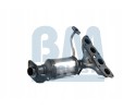 Catalyst BM CATALYSTS BM91976H Version European