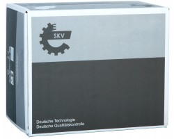 ESEN SKV 62SKV020 Katalyzator