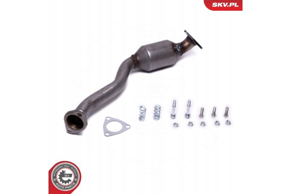 ESEN SKV 62SKV020 Katalyzator Catalog number of the part 62SKV020