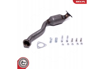 ESEN SKV 62SKV020 Katalyzator Catalog number of the part 62SKV020