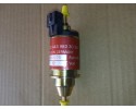 Fuel pump webasto Thermo Top E C P 443963303A Catalog number of substitutes WDP0002 1320292A 9012868C 89372A DP30 2
