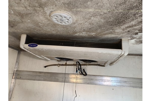 CARRIER VIENTO 350 UNIT