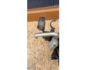 Parking heater Webasto Volkswagen Transporter T5 7E0815071A Catalog number of the original 9018242D