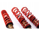 Suspensión Coilover MTS Street para BMW Serie 5 E60 Sedán (01/2003 -