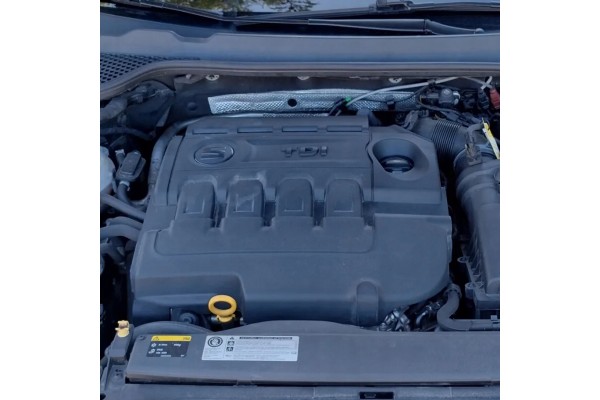 DFG complete engine 2 0 TDI Euro6 VAG VW Skoda Audi Seat E6