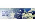XTREME OUTBACK NISSAN PATROL 2 8 TD CLUTCH 30 PROMOTION EAN GTIN 9337467090642