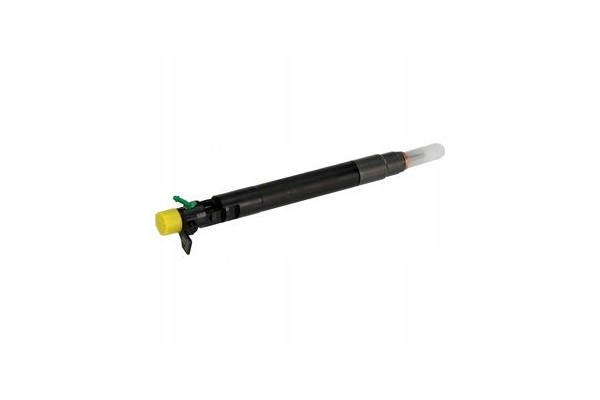 DELPHI R00101DP injectors