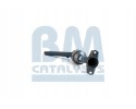CATALYST BM92024H BM CATALYSTS RENAULT LAGOON Product weight 5 kg