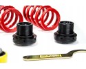 Threaded suspension AUDI A4 B6 B7 MTS GOLD EIBACH Catalog number of the part MTSGWAU01