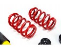 Threaded suspension AUDI A4 B6 B7 MTS GOLD EIBACH Part manufacturer MTS Technik