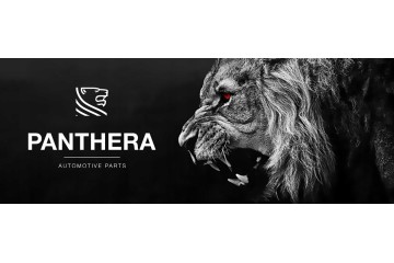 Sistema de Escape Activo Panthera Leo 6.0 para Mercedes V-Class W447