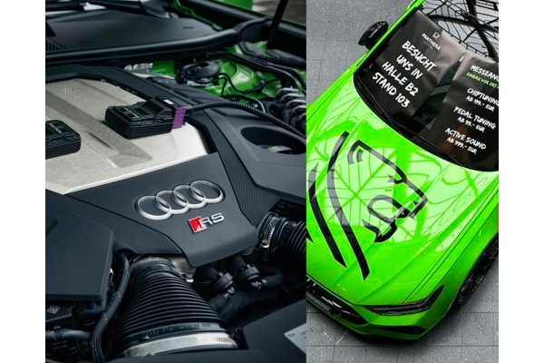 Panthera Leo Active Sound 6.0 AUDI Q8 Escape Activo