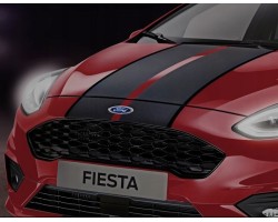 DECORATIVE STRIPES FOR FIESTA MASKS MK8