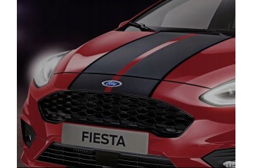 DECORATIVE STRIPES FOR FIESTA MASKS MK8