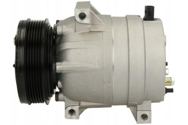 AIR CONDITIONING COMPRESSOR TYPE DELPHI R LAGUNA 01 07 Catalog number of substitutes ACAUTO AC 01DL075 ACAUTO AC 02DL01 ACAUTO A