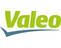 Ventilador Valeo VAL698813 para VW A4 02- y SEAT EXEO 09-
