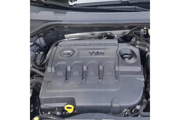 DGD complete engine 1 6 TDI DGDA DGDB EA288 VAG VW Seat Skoda