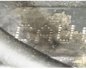 COMPLETE ENGINE AUDI A5 S5 4 2 CAU Engine type petrol