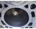 Bloque de motor VW Audi Skoda con pistones 2.0 TDI BKD
