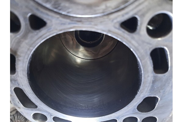 Bloque de motor VW Audi Skoda con pistones 2.0 TDI BKD