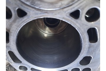 Bloque de motor VW Audi Skoda con pistones 2.0 TDI BKD