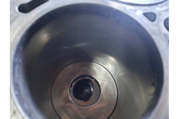 Bloque de motor VW Audi Skoda con pistones 2.0 TDI BKD