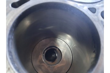 Bloque de motor VW Audi Skoda con pistones 2.0 TDI BKD