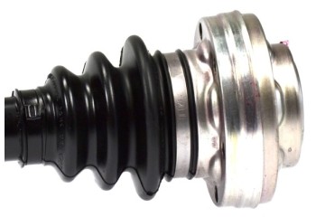 LOB304622_L POLOS TYL PR