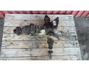 REAR DIFFERENTIAL MINI COOPER R60 9806010 11 9806010