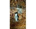 Webasto VOLVO V70 III BW 30733866 2 4L diesel 129kW 2010 Catalog number of the part 30733866