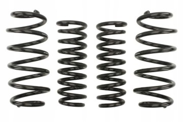 EIBACH suspension springs Catalog number of the part E1539 140