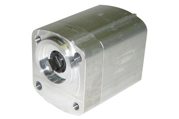 hydraulic pump for the AMA HALDEX P1 17 HD6 elevator