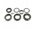 SET OF BEARINGS ATC450