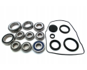 BEARING SEALS SET DSG7 0AM OAM 0CW OCW DSG 7 DQ200