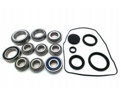 BEARING SEALS SET DSG7 0AM OAM 0CW OCW DSG 7 DQ200