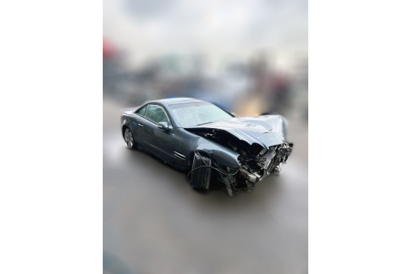 MERCEDES-BENZ SL (BM 230) ROADSTER 500 (230.475)